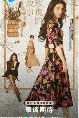 达达影视片单《双城旧事》标本卡封面