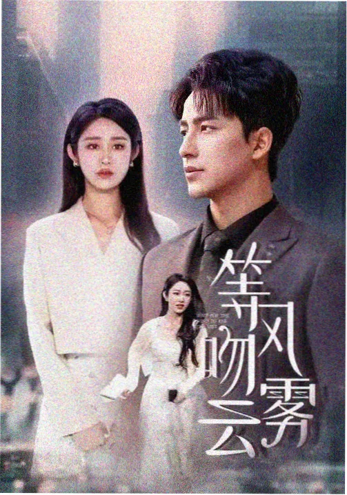 达达影视速览条目《雾港档案》封面缩略图