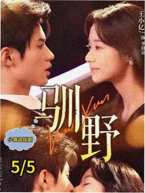 达达影视侧栏榜单《双城旧事》缩略图